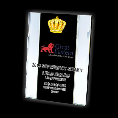 IGM 106 - Shining Metal Star Crystal Award